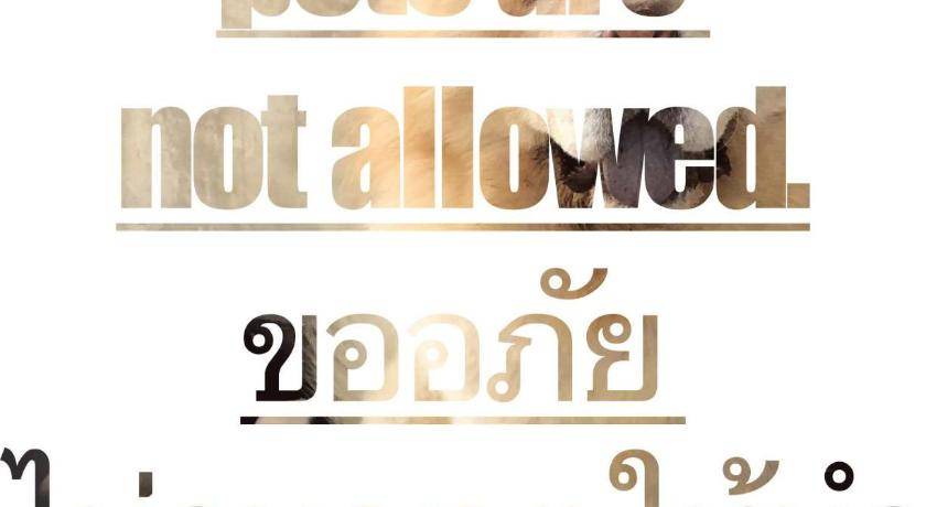 Photo of Others in Nakhon Sawan