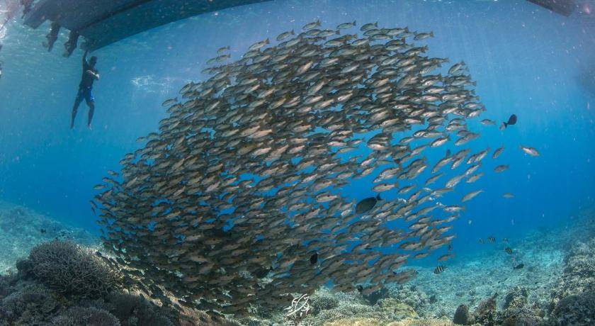Photo of Others in Bunaken