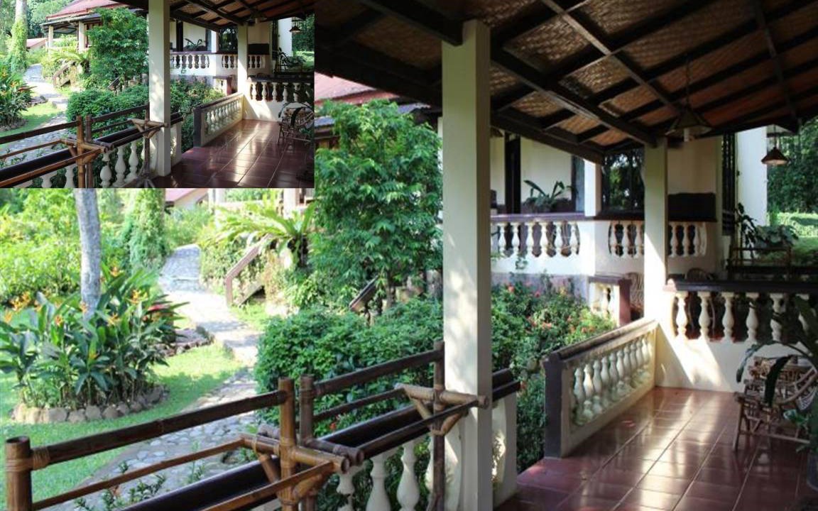 Photo of Others in Bukit Lawang