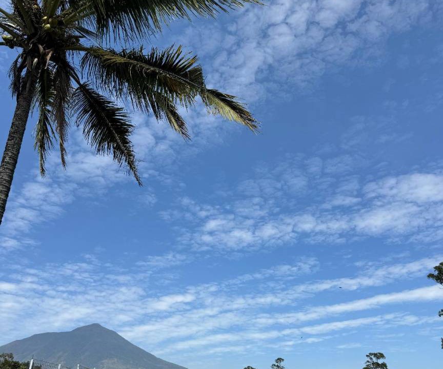 Photo of Others in Garut
