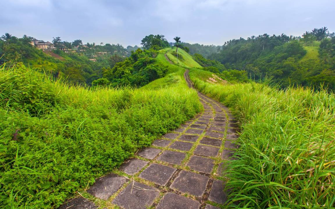 Photo of Others in Ubud