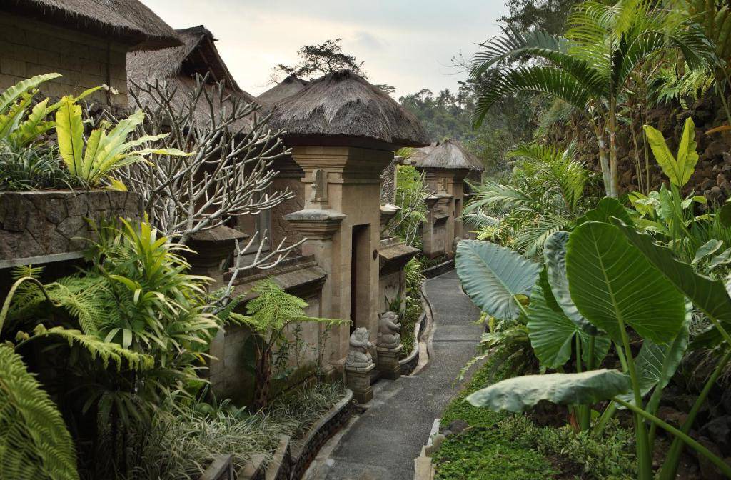 Photo of Others in Ubud