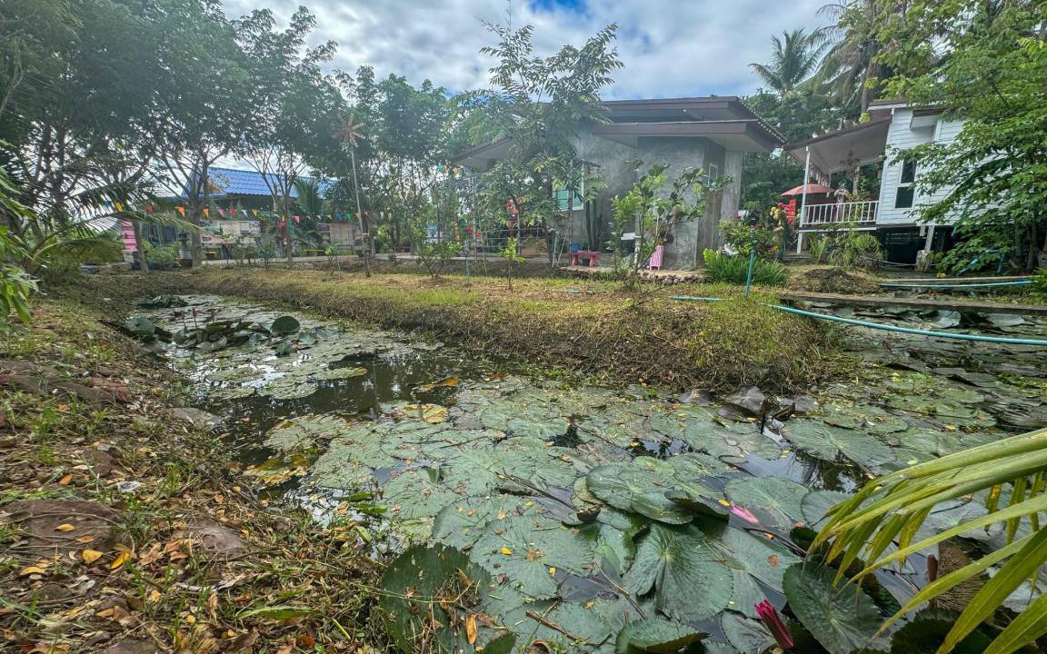 Photo of Others in Amphawa