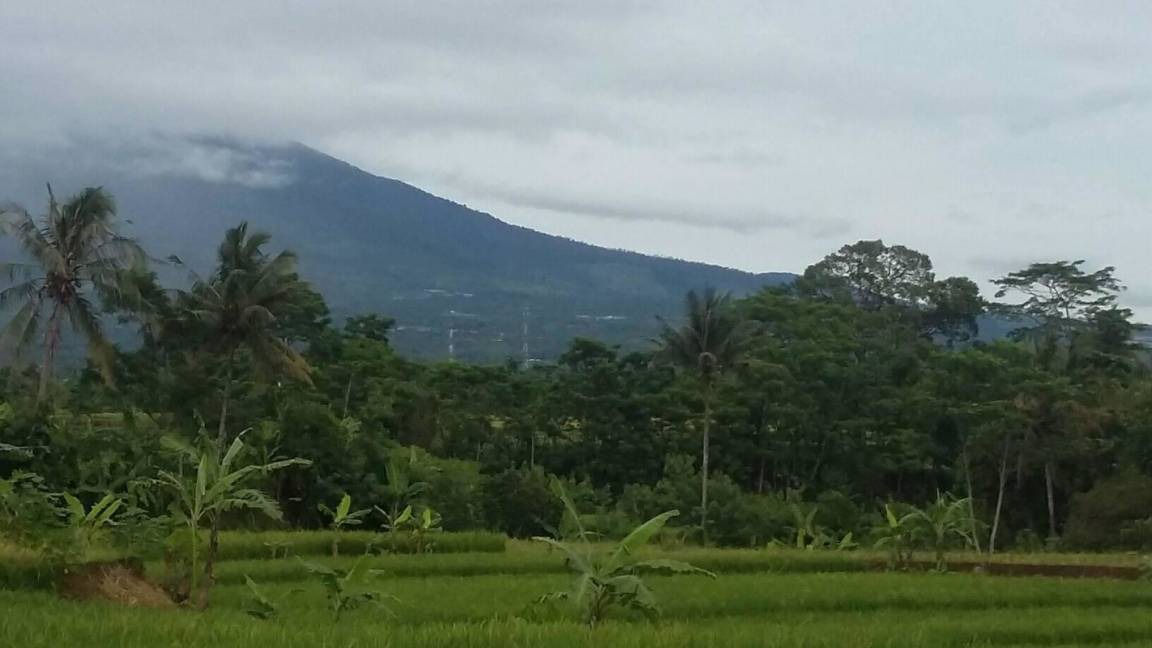 Photo of Others in Cianjur