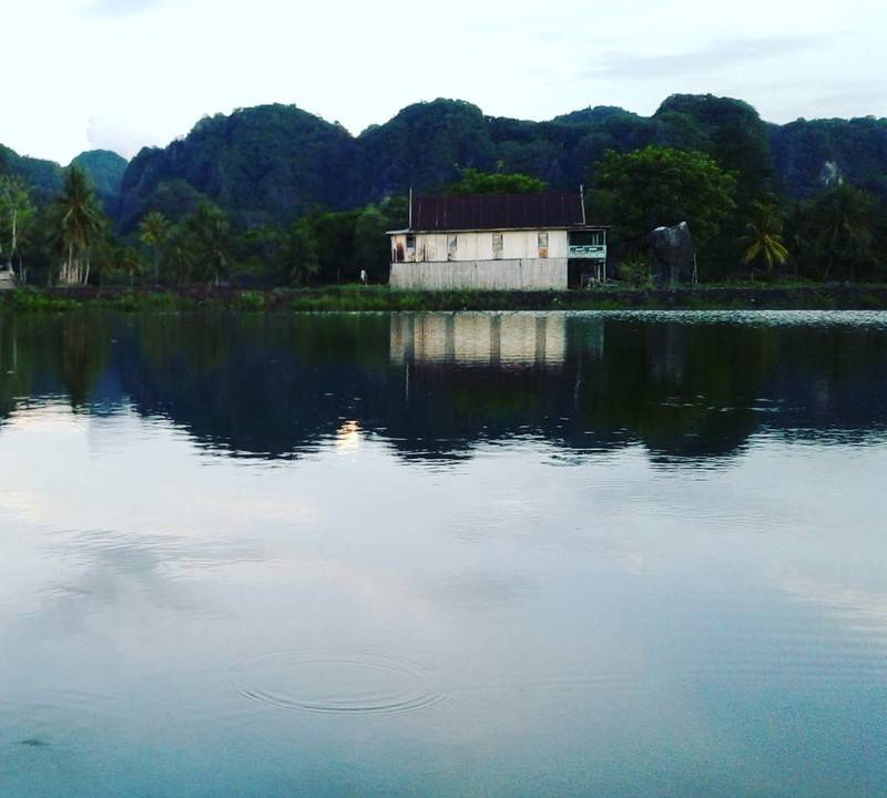 Photo of Others in Bantimurung