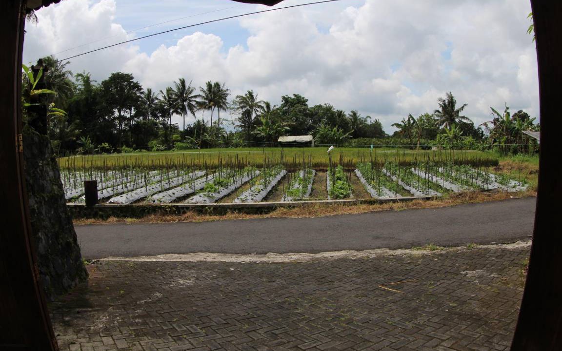 Photo of Others in Pakem