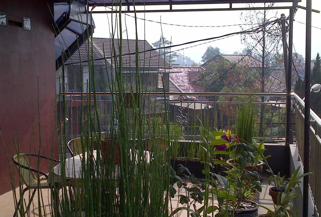 Photo of Others in Jatinangor