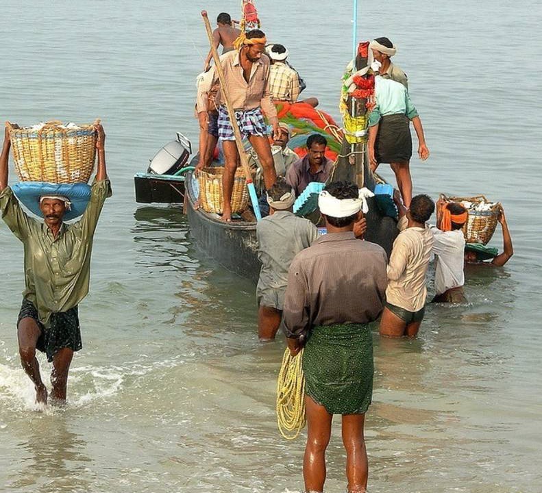 Photo of Others in Cherthala