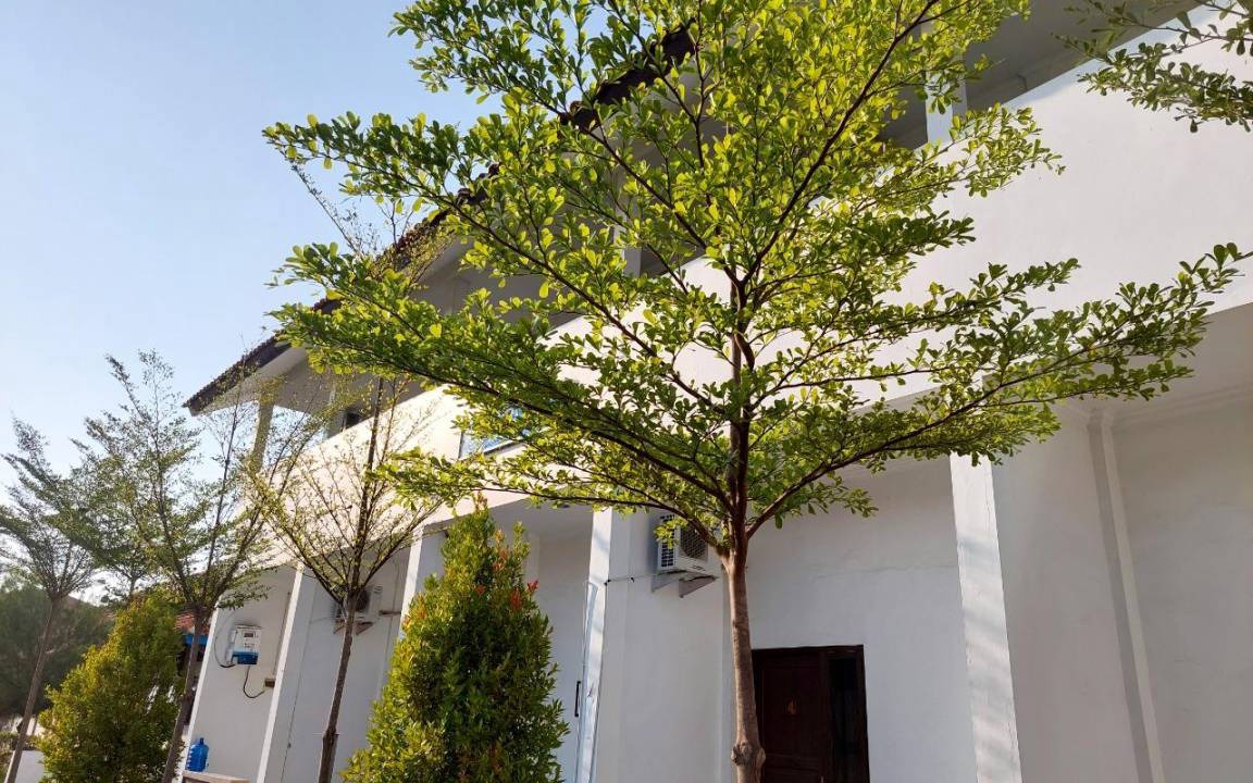 Photo of Buildings in Tegal