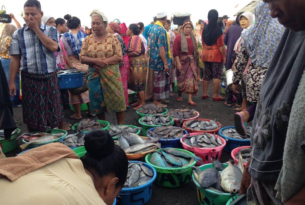 Photo of Others in Jerowaru