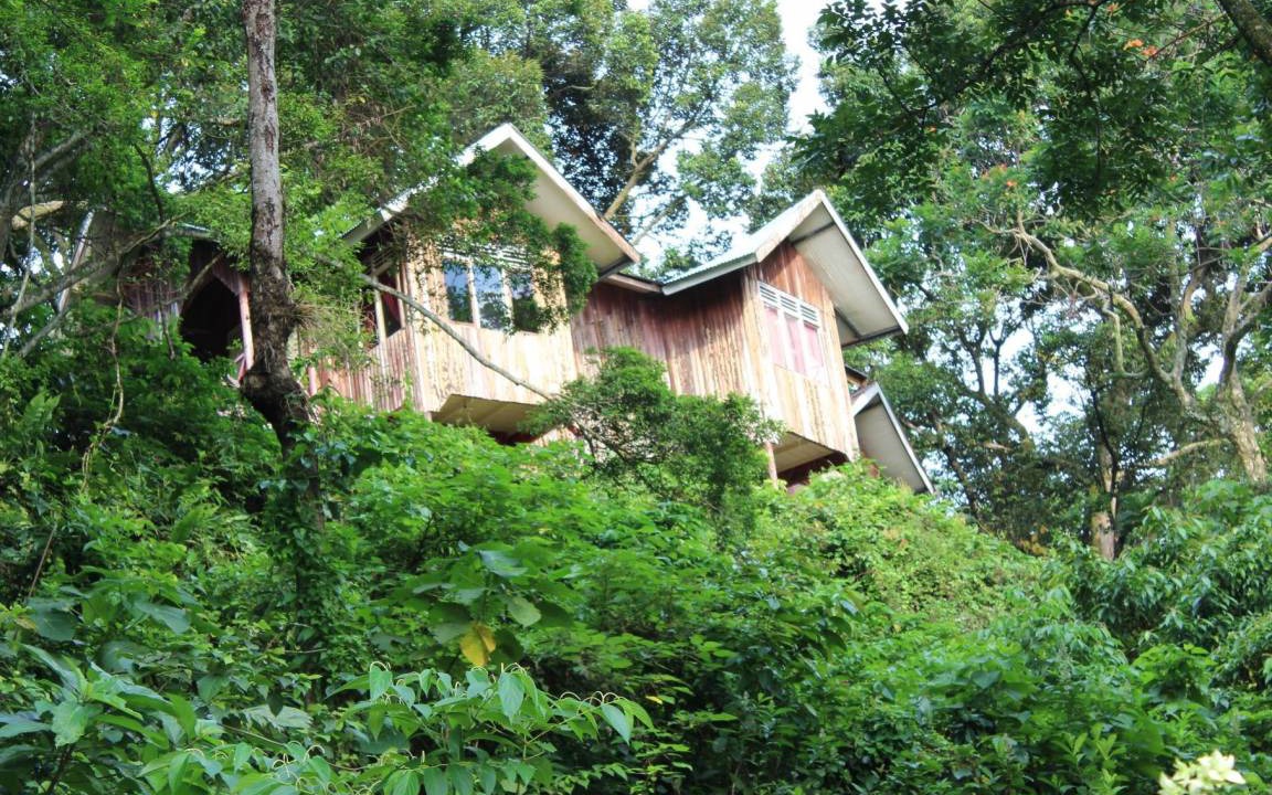Photo of Others in Bukit Lawang