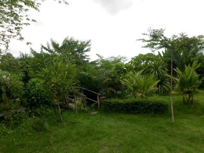 Photo of Others in Pua