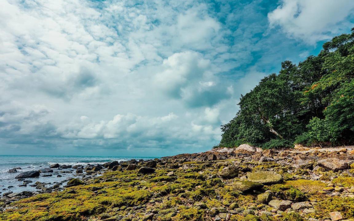 Photo of Others in Rayong
