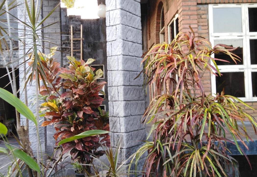 Photo of Others in Sewon