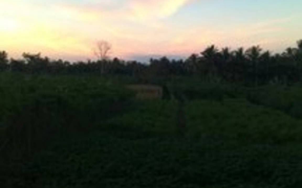 Photo of Others in Borobudur