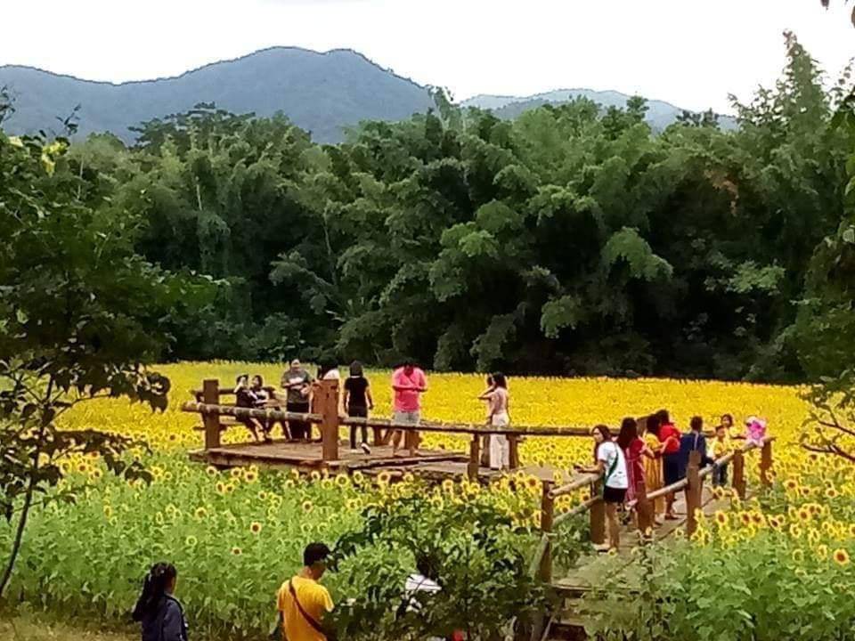Photo of Others in Ban Rai
