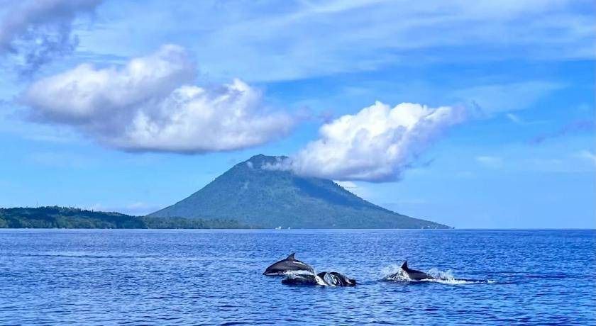 Photo of Others in Bunaken