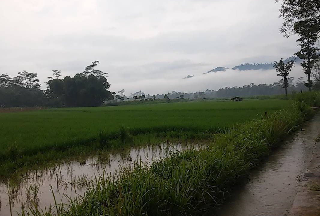 Photo of Others in Mendut