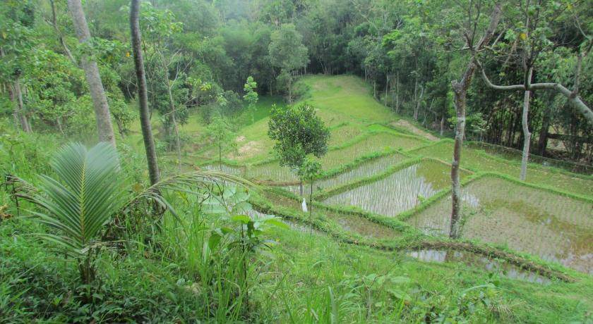 Photo of Others in Tetebatu