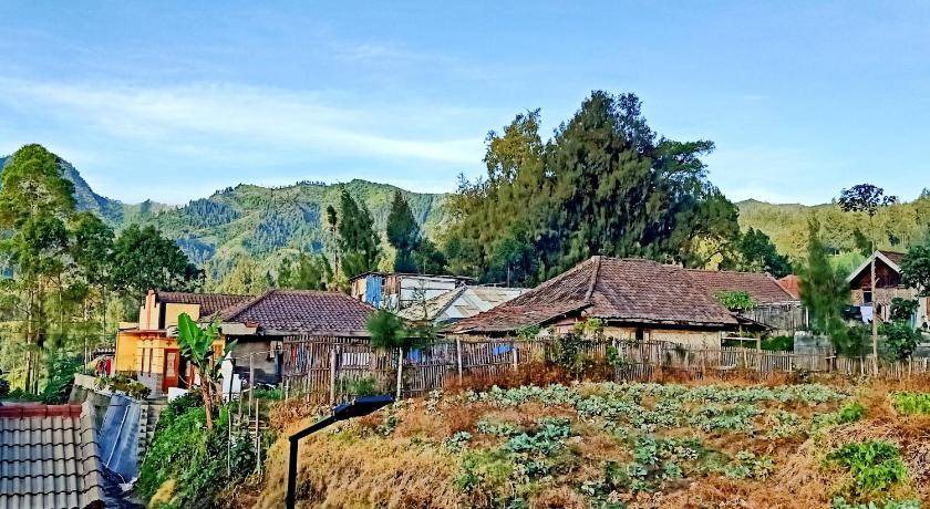 Photo of Others in Ngadisari