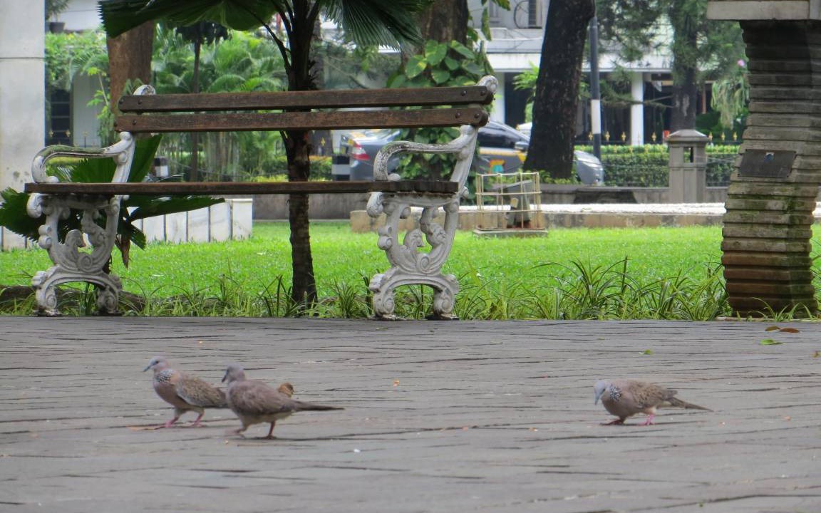 Photo of Others in Setiabudi