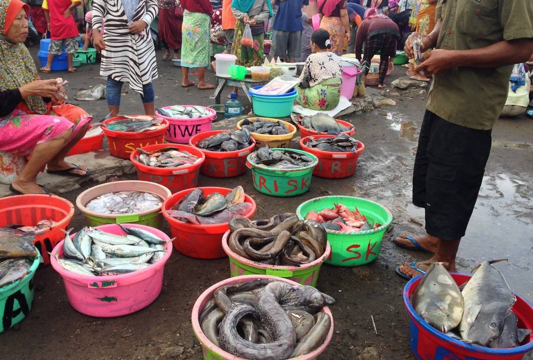 Photo of Others in Jerowaru