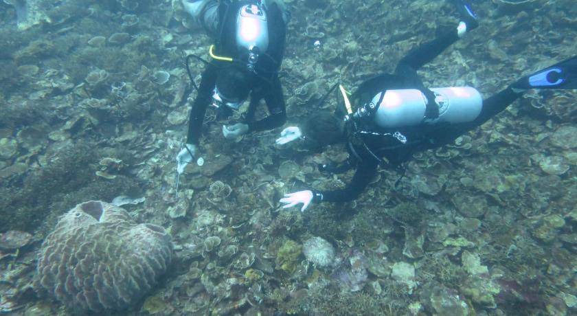 Photo of Others in Maluku Islands