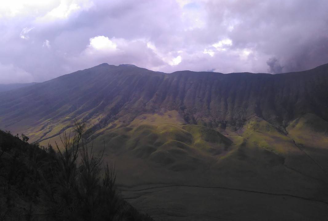 Photo of Others in Tosari