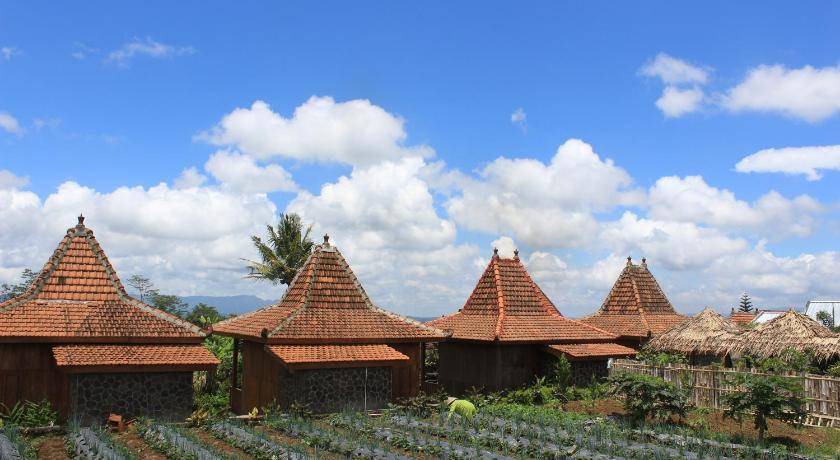 Photo of Others in Wonosobo