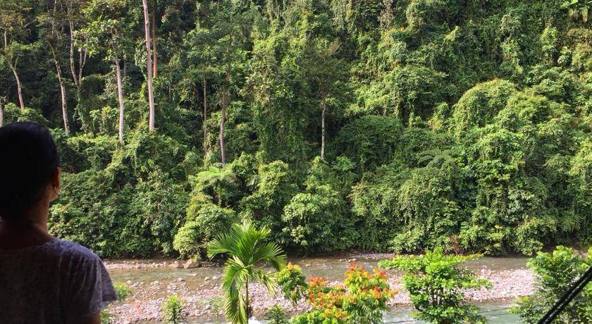 Photo of Others in Bukit Lawang