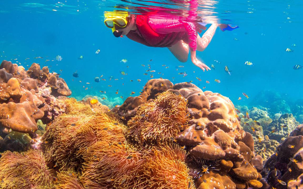Photo of Others in Ko Phi Phi