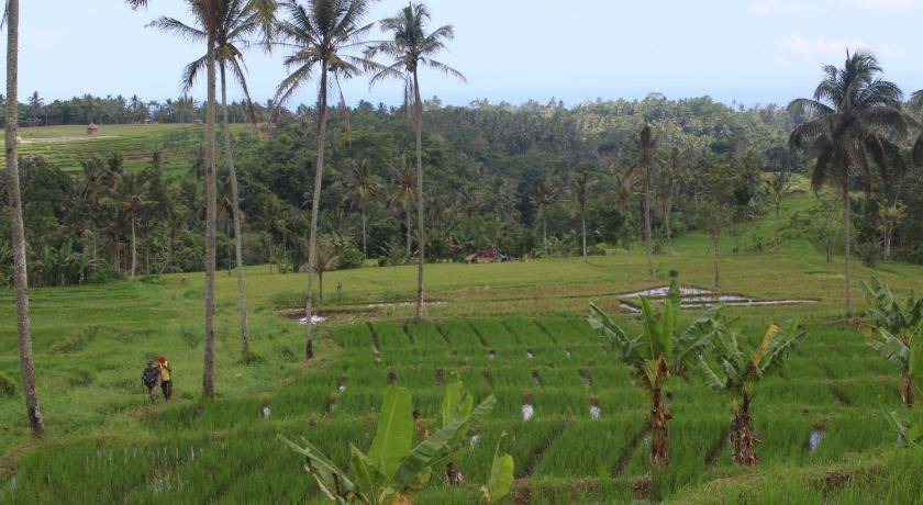 Photo of Others in Kayangan