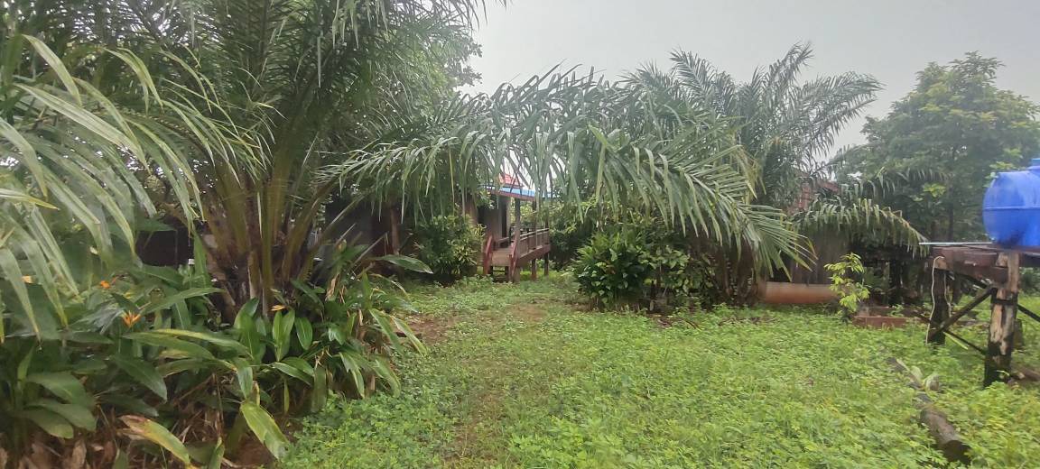 Photo of Others in Ban Lung