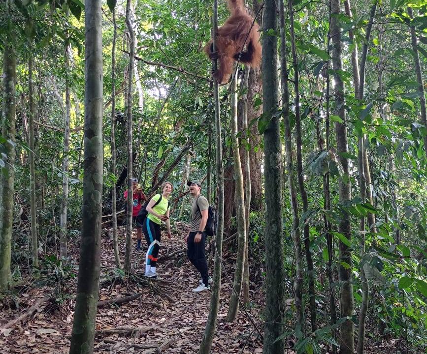 Photo of Others in Bukit Lawang