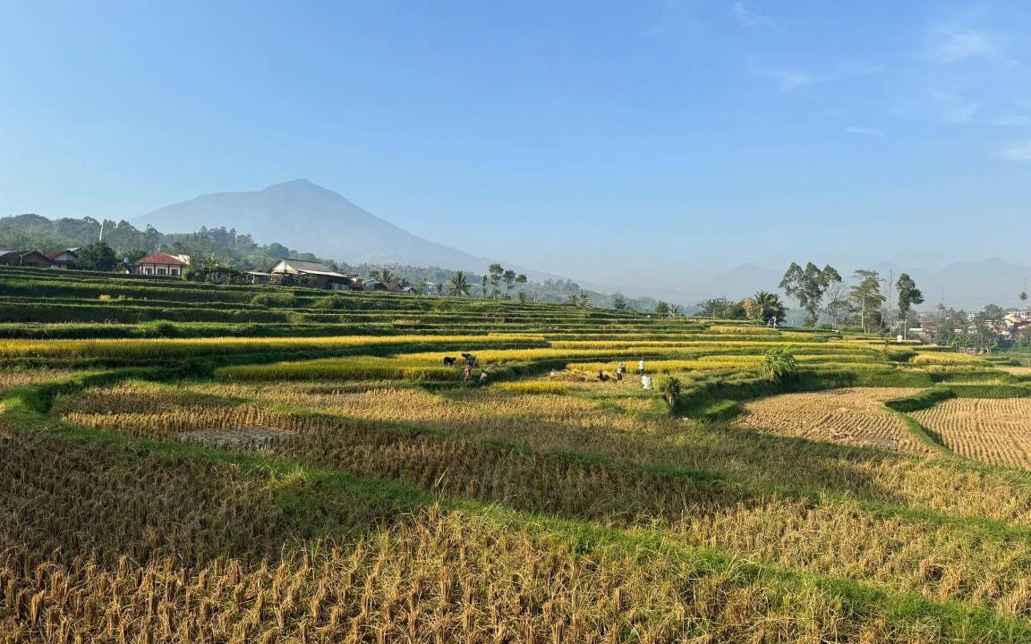 Photo of Others in Garut