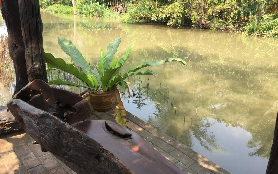 Photo of Others in Amphawa