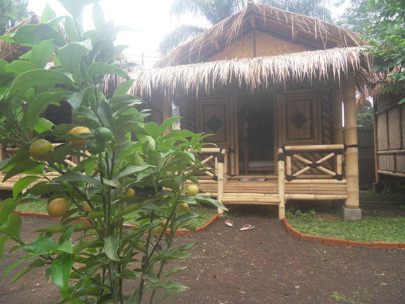 Photo of Others in Jawa Timur