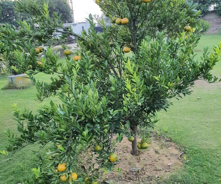 Photo of Outdoor in Gurugram
