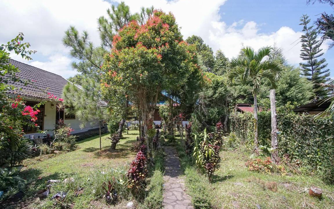 Photo of Others in Tomohon