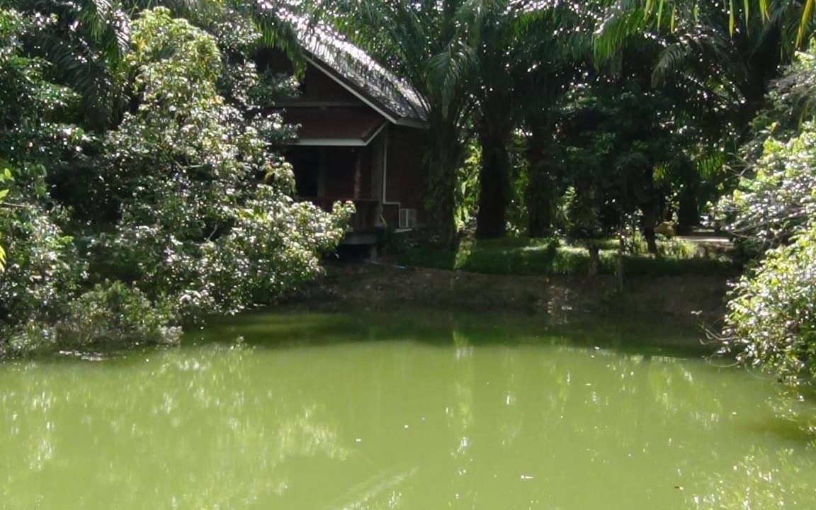 Photo of Others in Lam Kaen