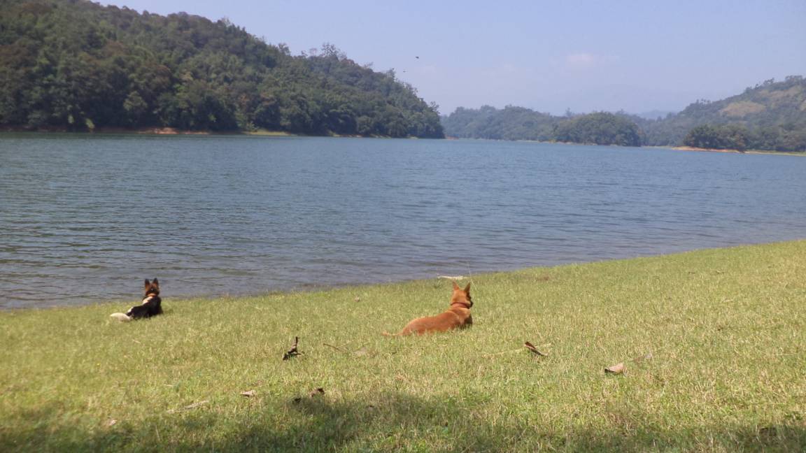 Photo of Others in Rajakkad