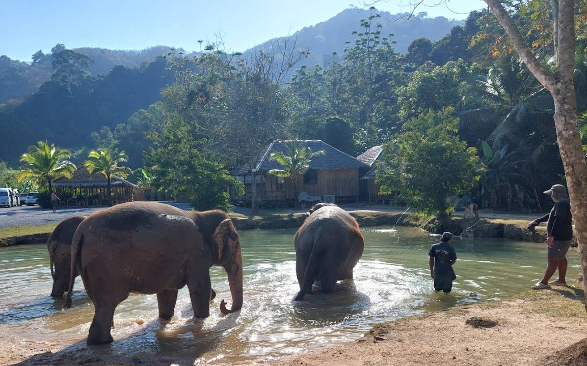 Photo of Others in Cherngtalay