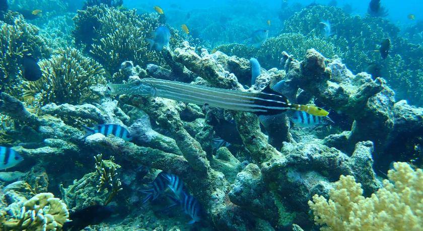 Photo of Others in Gili Gede