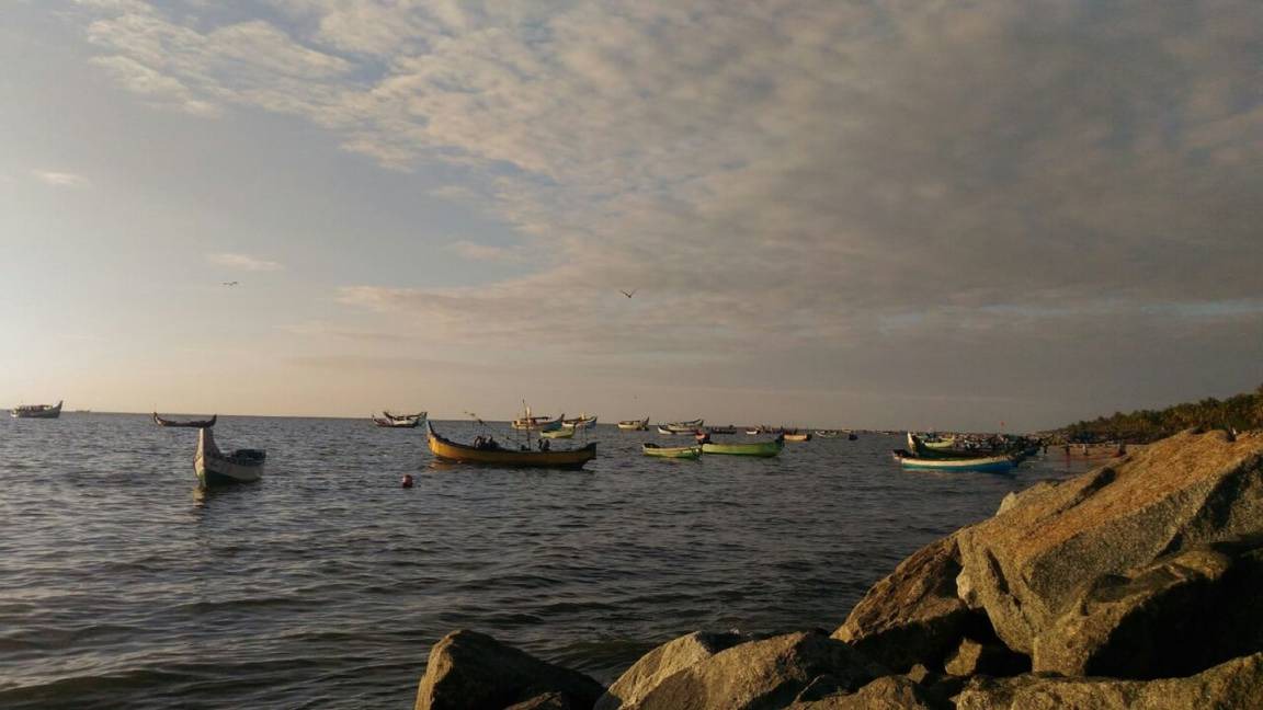 Photo of Others in Mararikkulam North