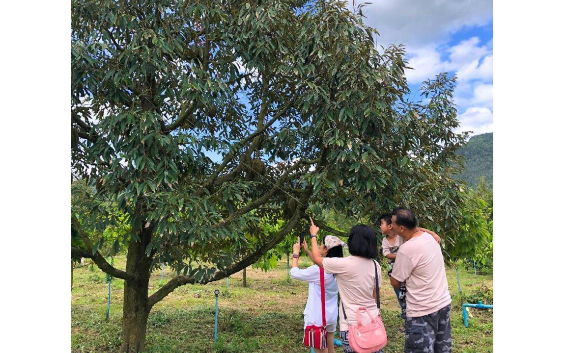 Photo of Others in Huai Sat Yai