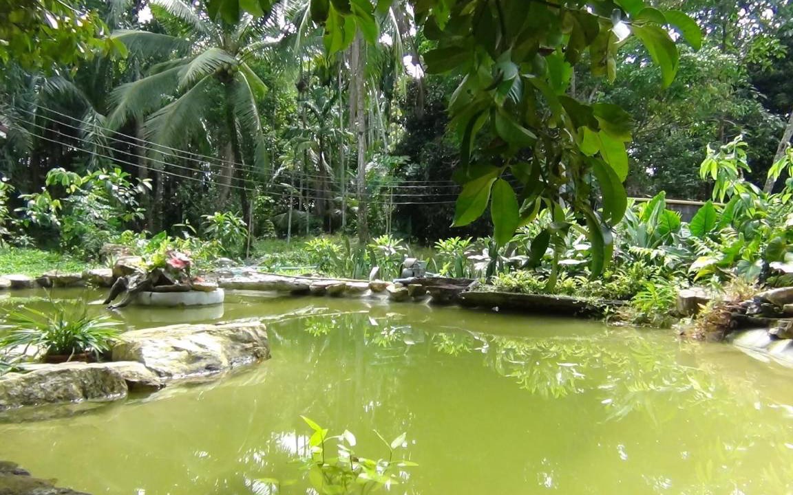 Photo of Others in Lam Kaen