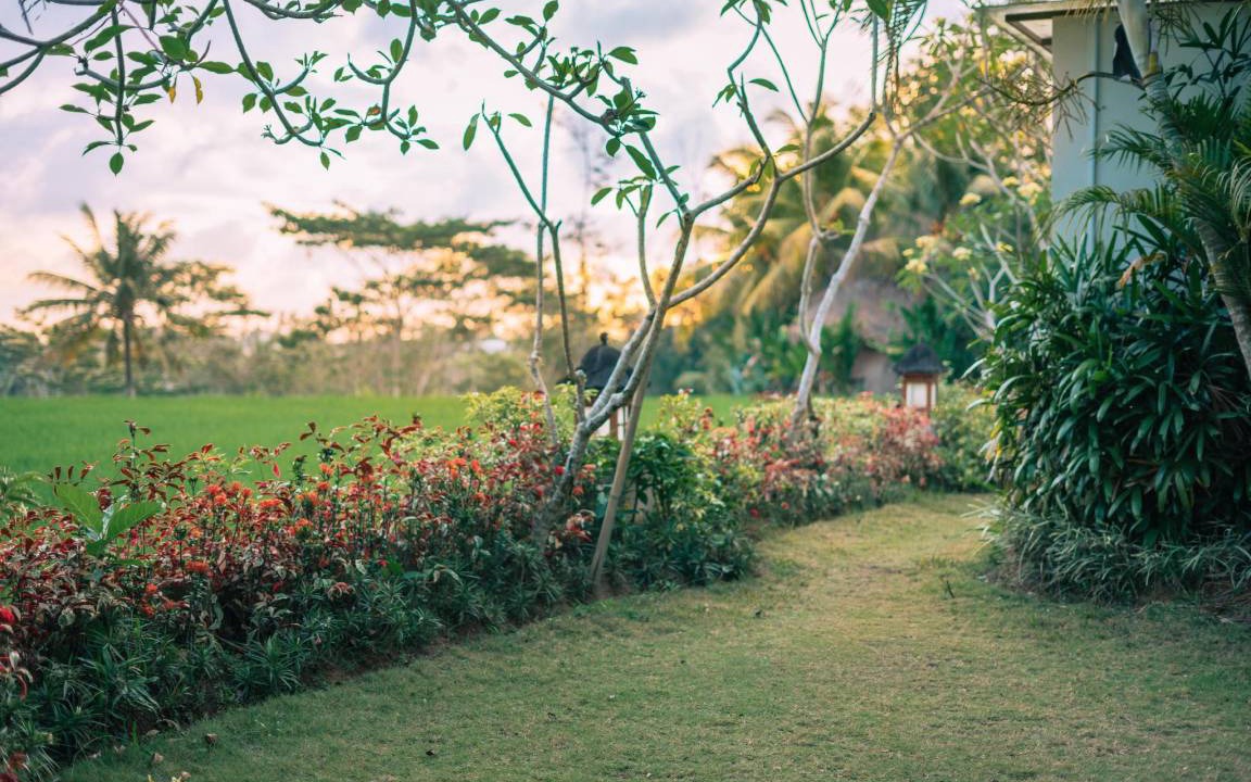 Photo of Others in Gianyar