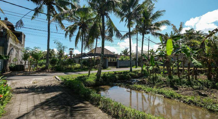 Photo of Others in Ubud