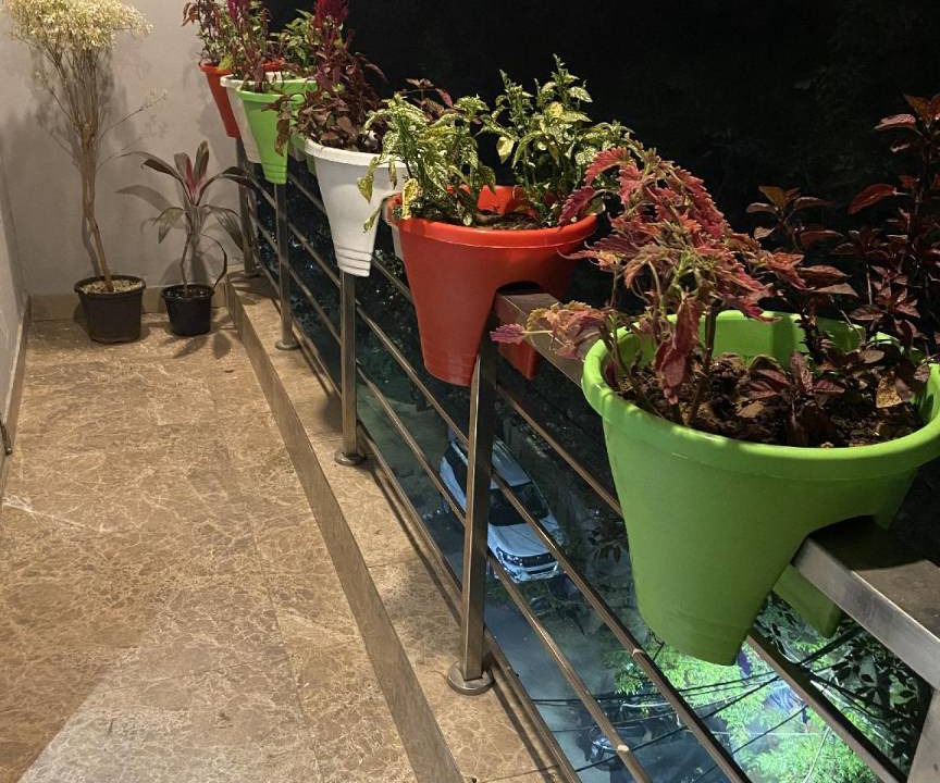 Photo of Patio Balcony in Lajpat Nagar