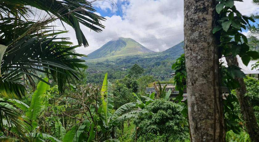 Photo of Others in Tomohon